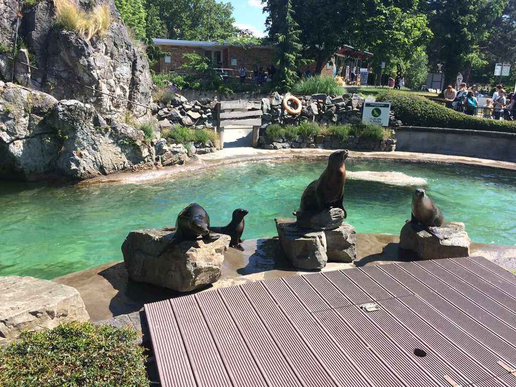 Köln Zoo Avrupa&#8217;nın Ortası: Köln